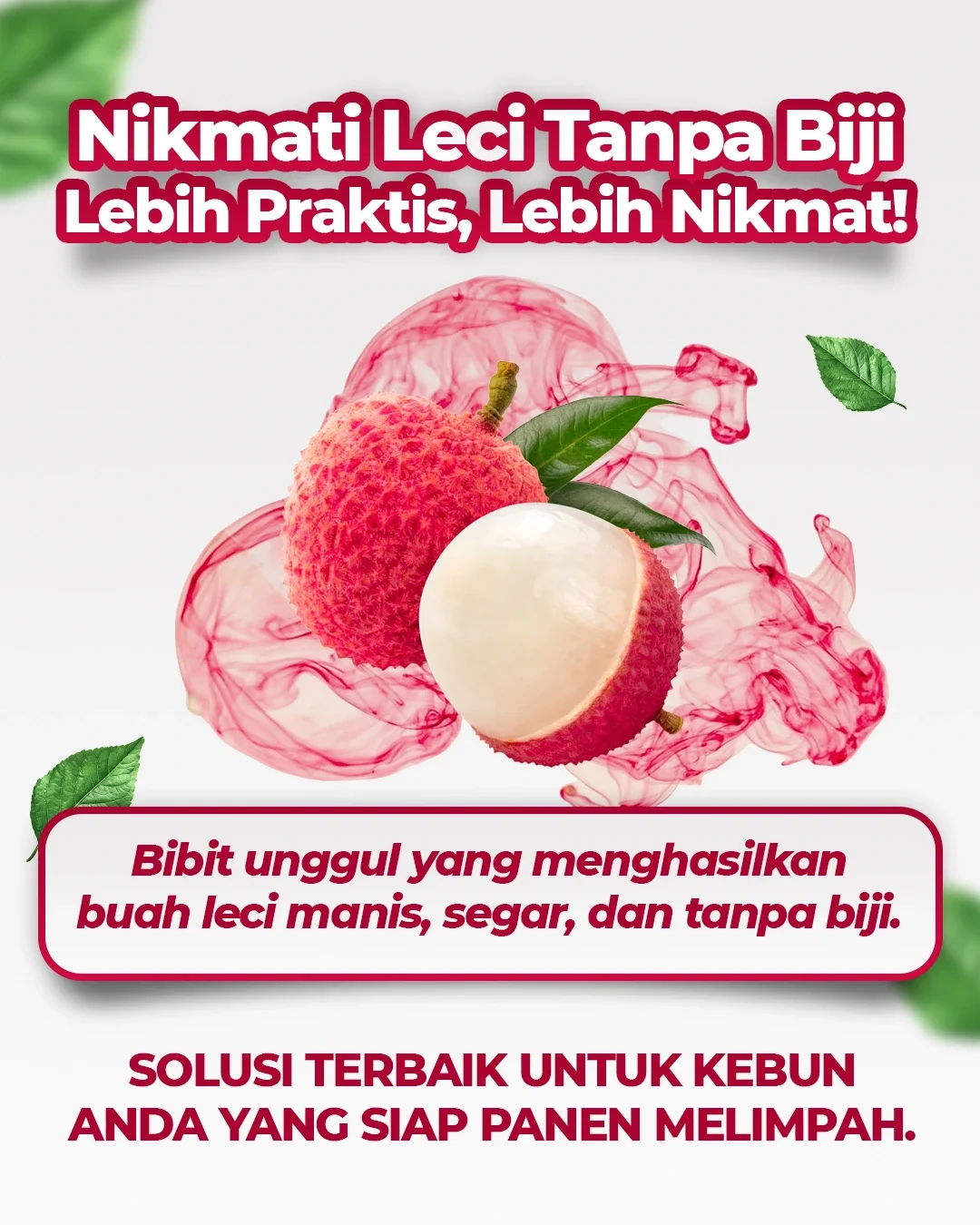 PAGE-1-5.webp